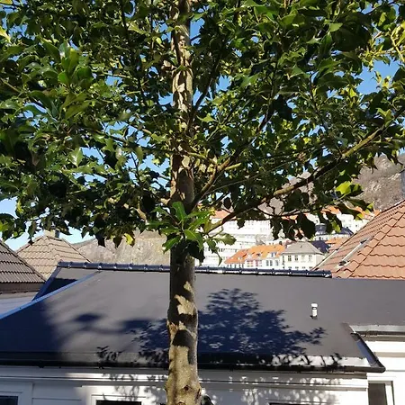 Skuteviken 40 Pensión Bergen